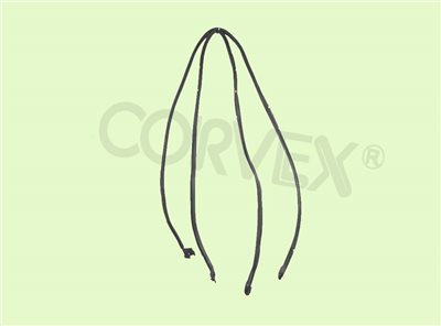 PART #:  CV07-R02 ∞  DOOR WHEATHERSTRIP